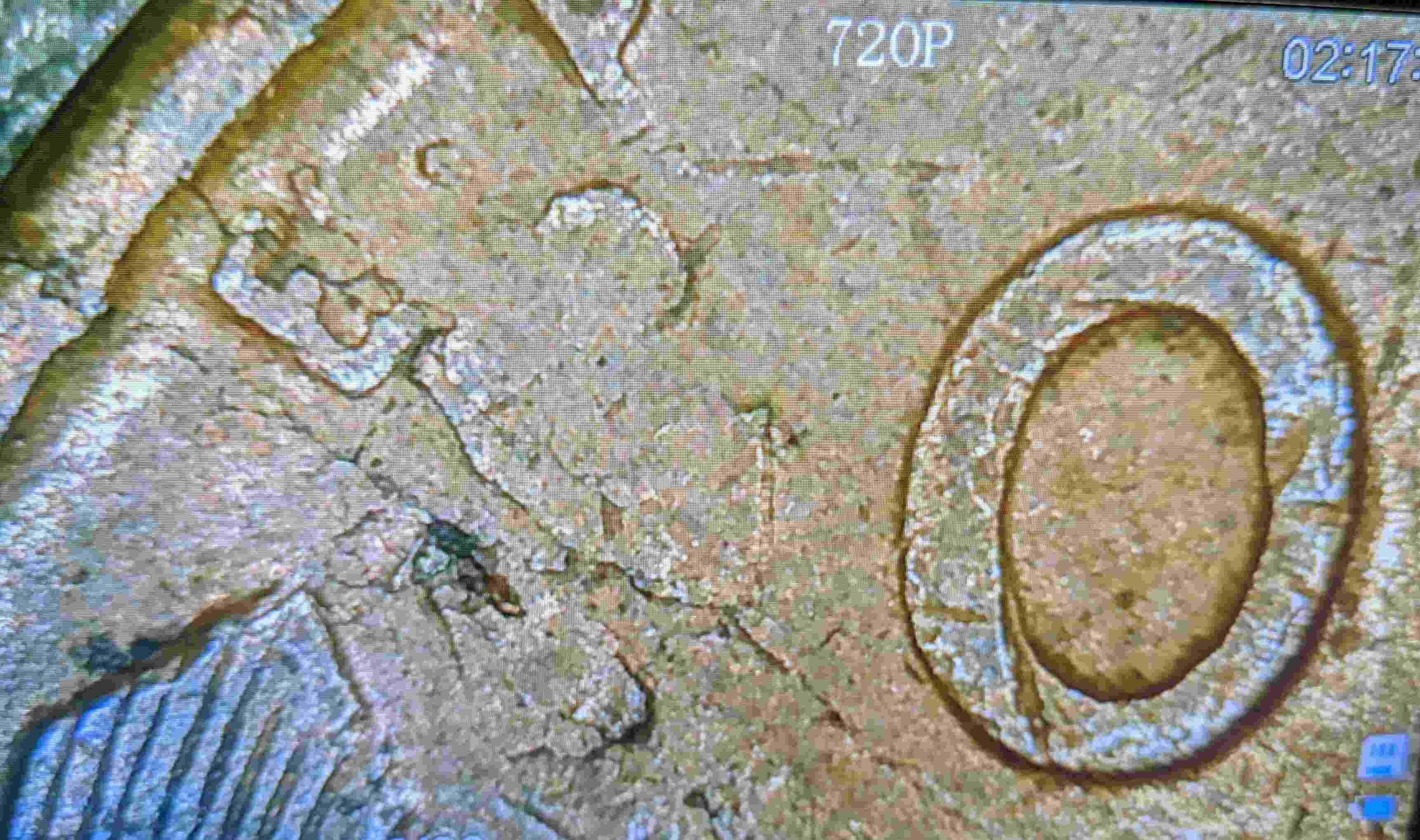 1923-S-Wheat-Penny---Some-Kind-Of-Error?