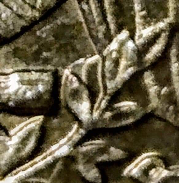 1981-P-Quarter-Extra-Leaf-On-Reverse-?