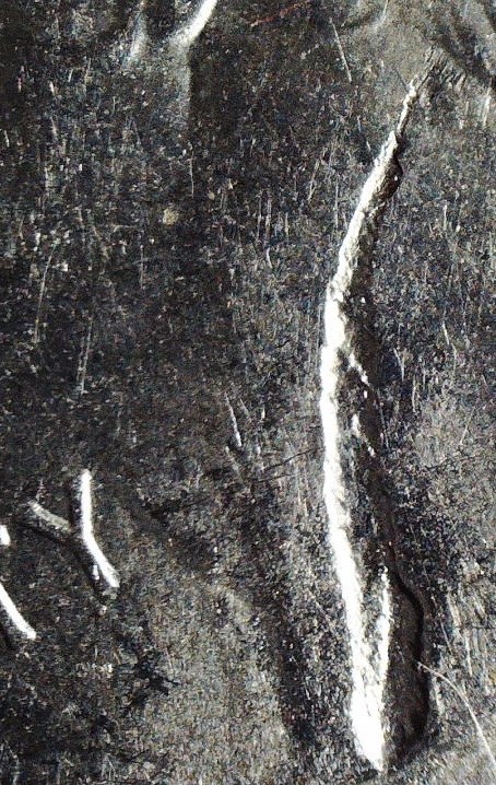2016-Fort-Moultrie-Quarter-Planchet-Error?