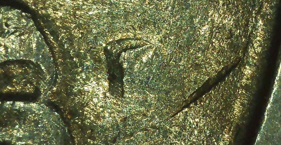 1976-D-Bicentennial-Quarter-With-Strike-Thru-Grease?