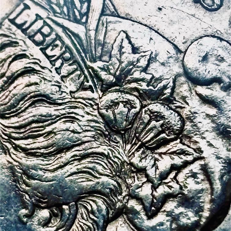1882-O-Morgan-Silver-Dollar-Grade?