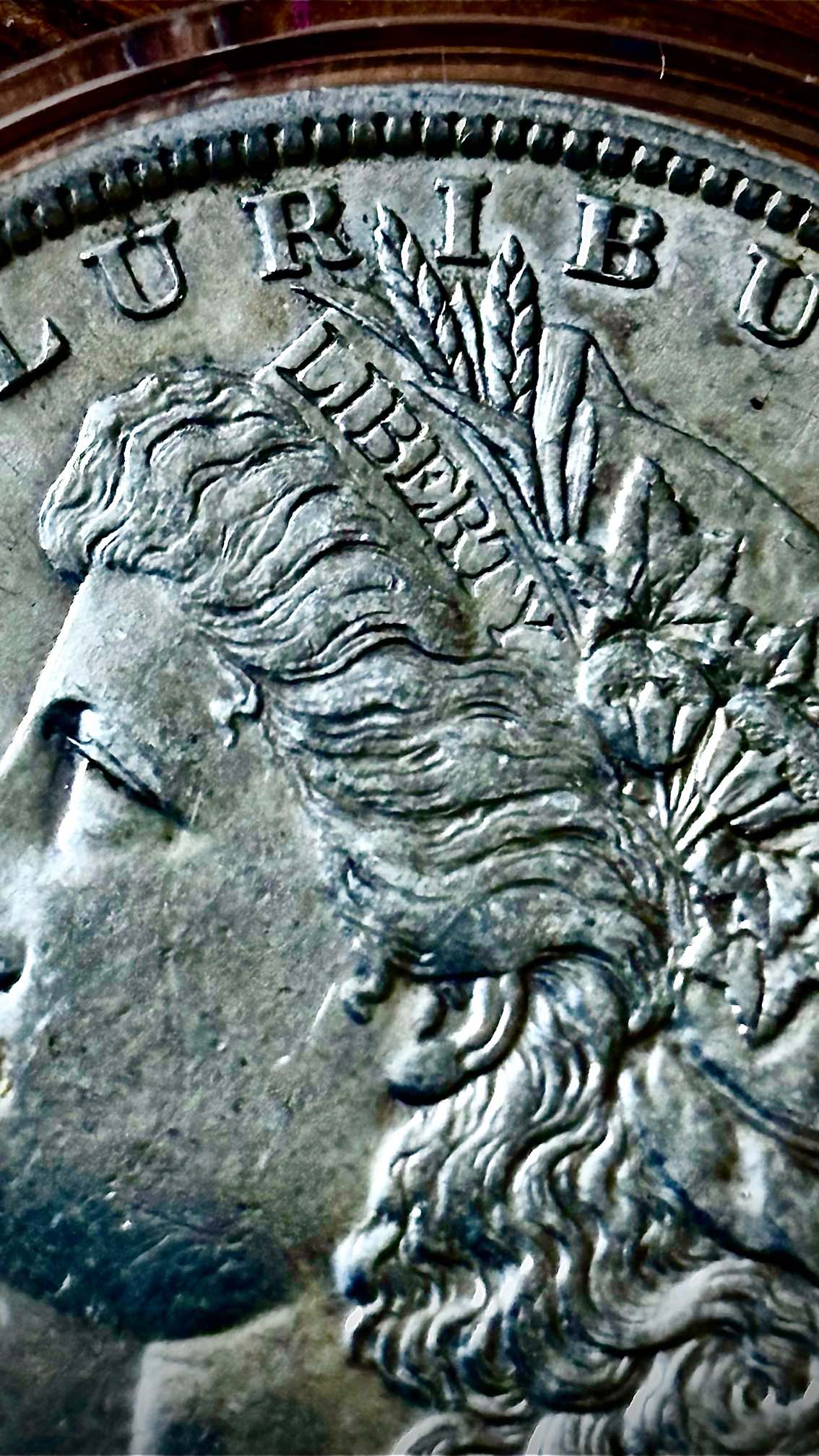 1882-O-Morgan-Silver-Dollar-Grade?