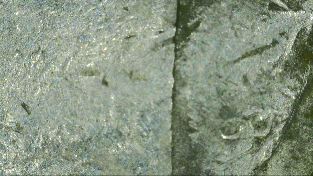 2004-D-Washington-Quarter-Clad-Layer-Problem