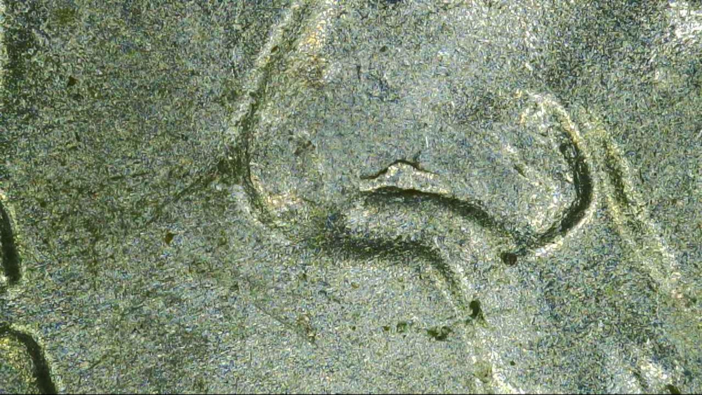 2004-P-Roosevelt-Dime-Die-ChipS