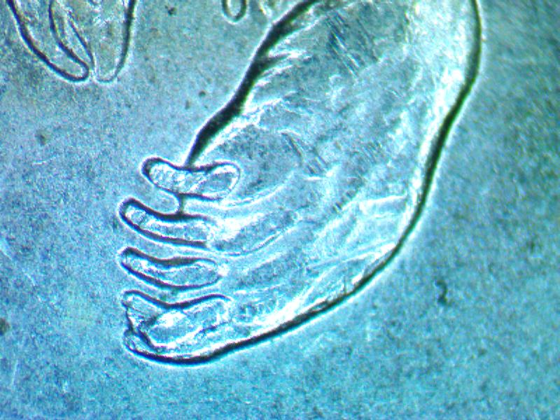 2008-Alaska-Quarter-Wuth-Exter-Claw
