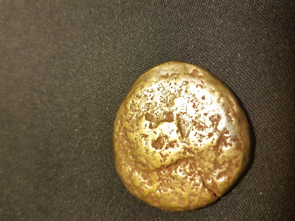 Can-Anyone-ID?-Bout-The-Size-Of-A-Half-Dollar