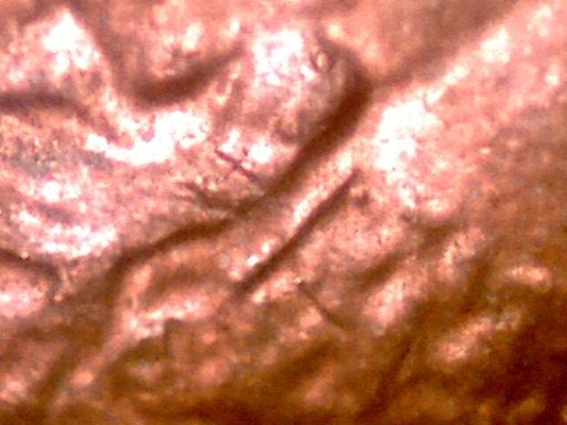 1984-P-Lincoln-Cent-Help-Identifying-Ear-Issue