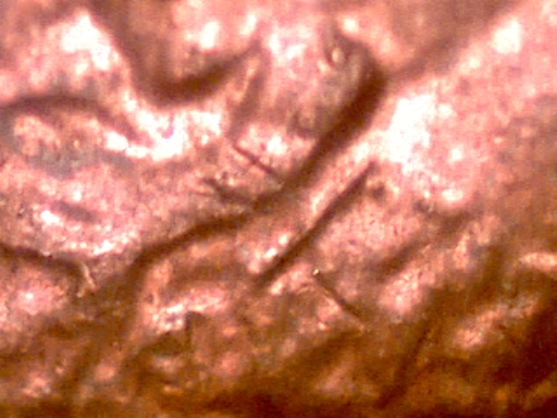 1984-P-Lincoln-Cent-Help-Identifying-Ear-Issue