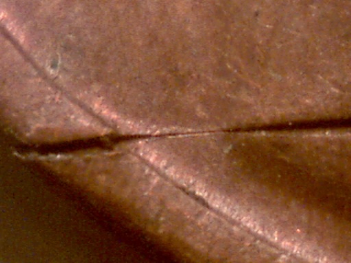 1970-Lincoln-Memorial-Cent