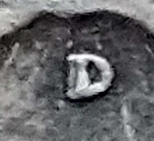 1947-D-Quarter.-Is-This-A-RPM-Or-MD?