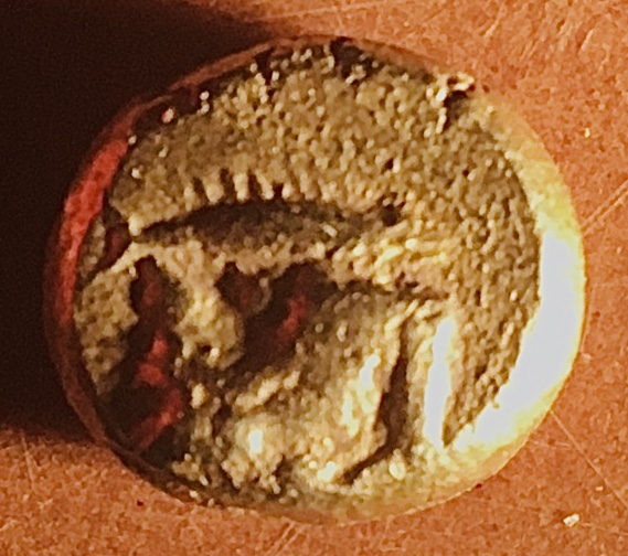 My-First-Animal-On-A-Coin.