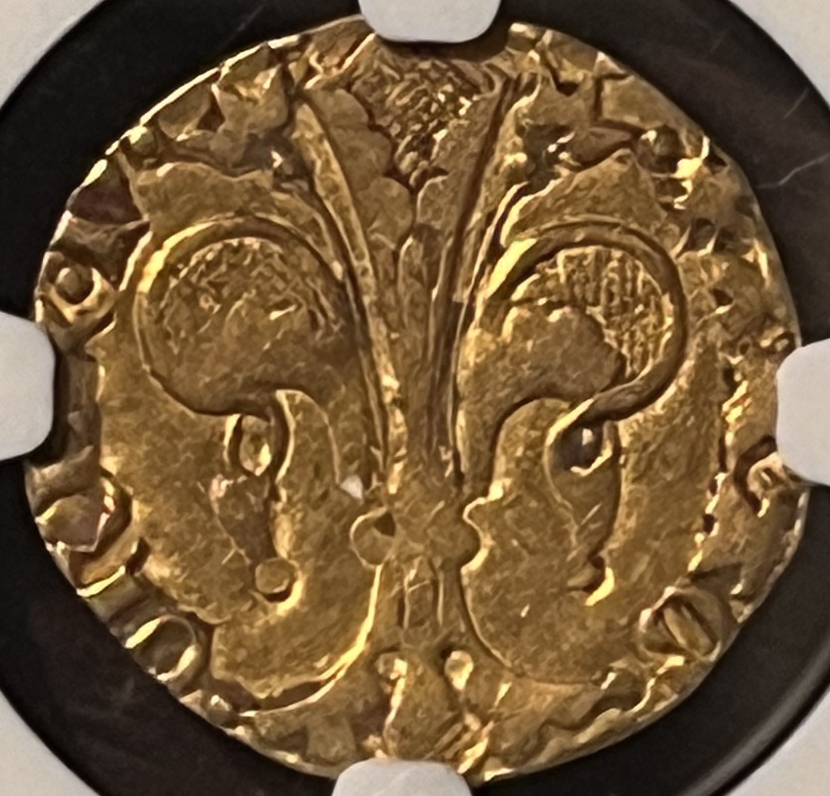 Is-Anyone-Here-A-Collector-Of-Gold-Florins?