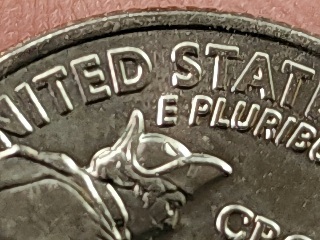 2021-P-Quarter-Die-Chips-Two-Coins