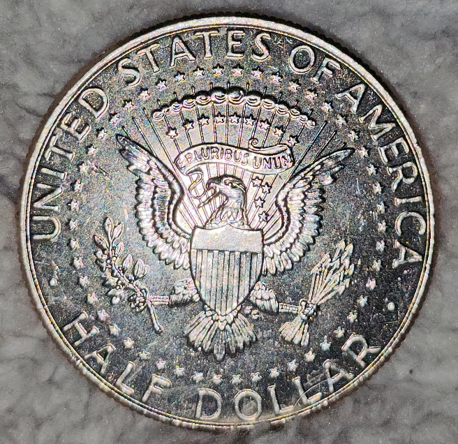 2014-D-Kennedy-Half-Dollar-Grade-With-Error-On-Reverse