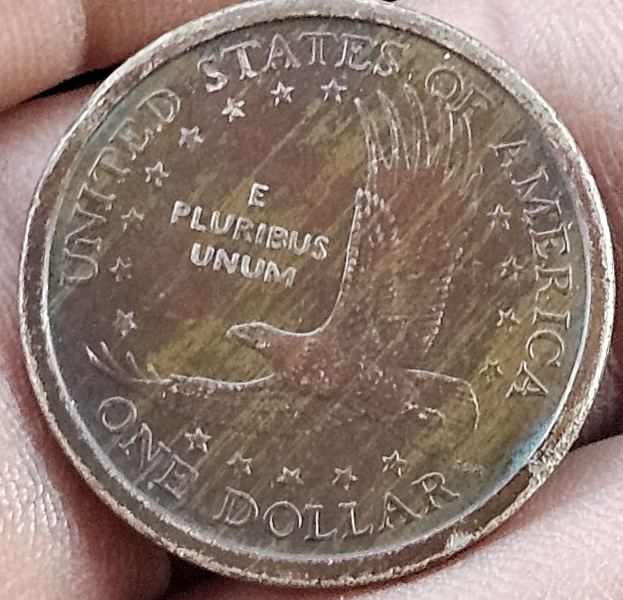 2000-P-Sacagawea-Unique-Patina