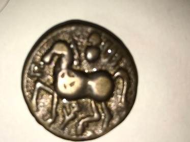 Help-With-Identification?