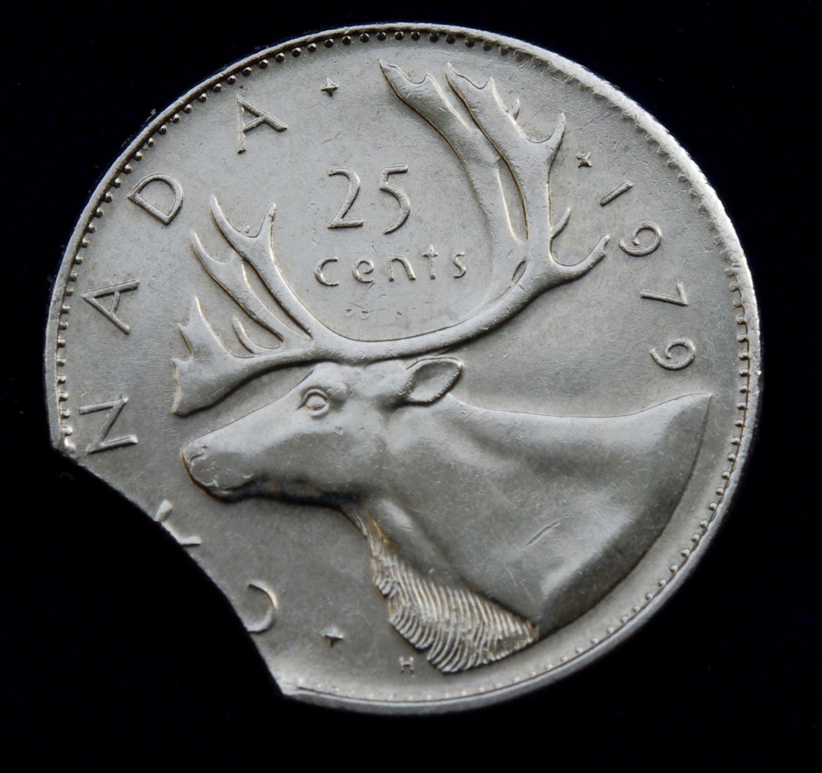Showing-Off-A-Roll-Hunting-Find.