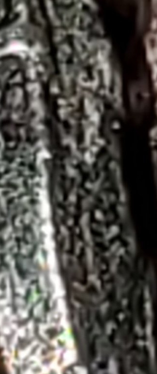 Are-These-Error-Or-Damaged-Coins