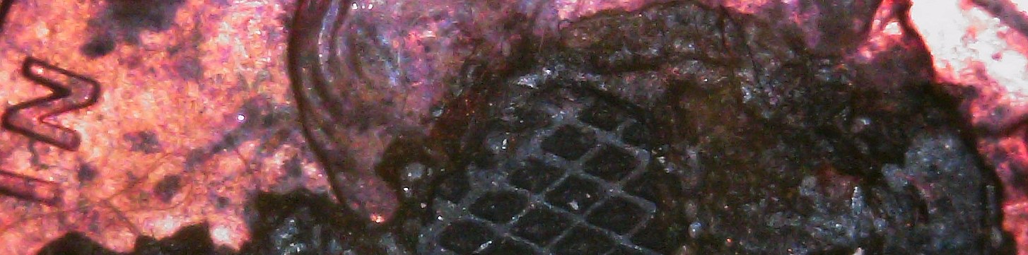 Core-Of-A-Coin-Uses-Grid?