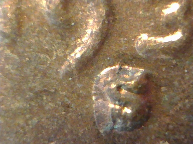1935-S-Lincoln-Wheat-Cent-S/S-RPM-001