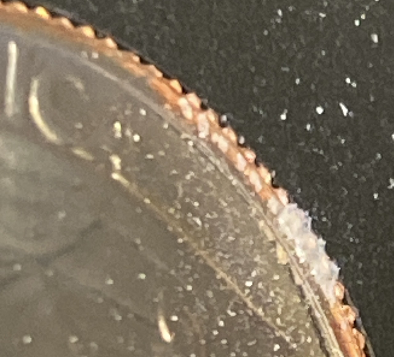 1969-S-Proof-Crenellated-Rim