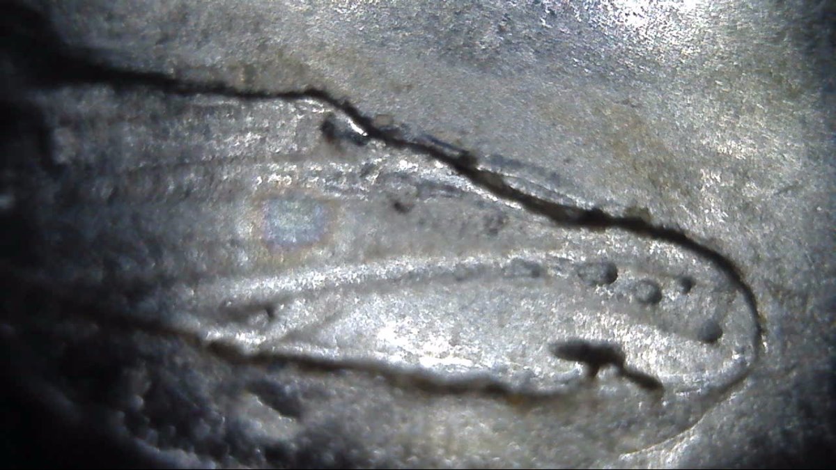 2019-D-Lowell-Quarter-Has-Anyone-Seen-This-Before?