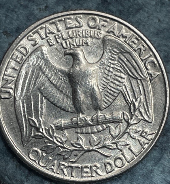 1982-P-Washington-Quarter-Possible-Errors-DDO,-DDR,-And-An-Extra-Vine-Under-Branch