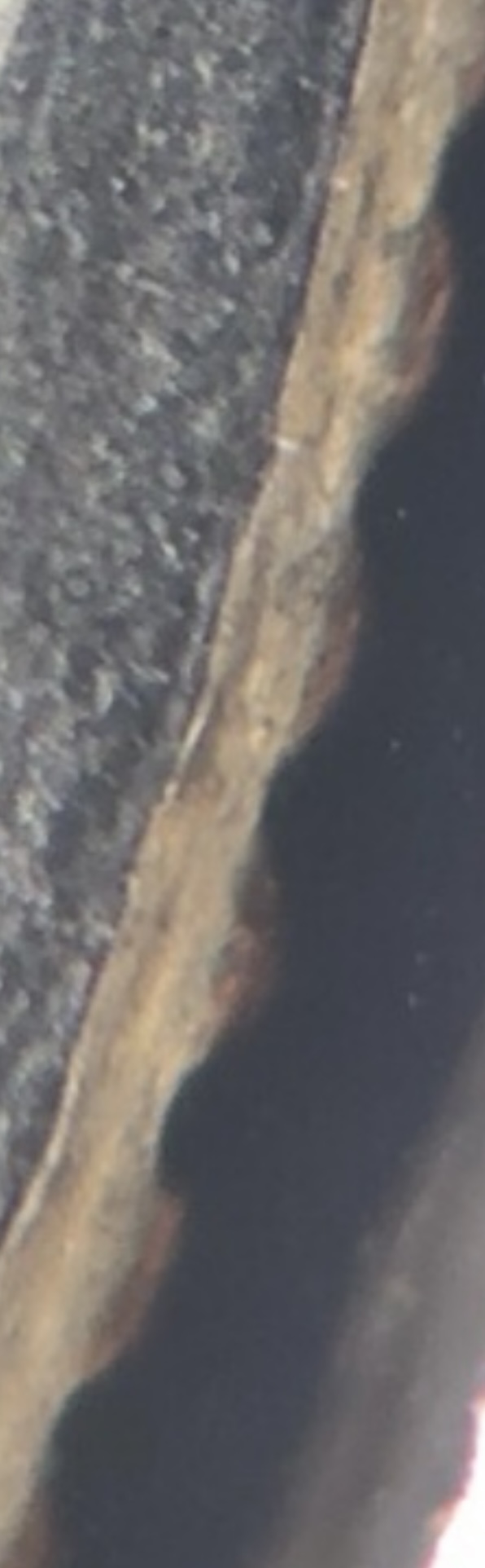 1979-Susan-B-Anthony-Close-Date-With-Errors-Value$