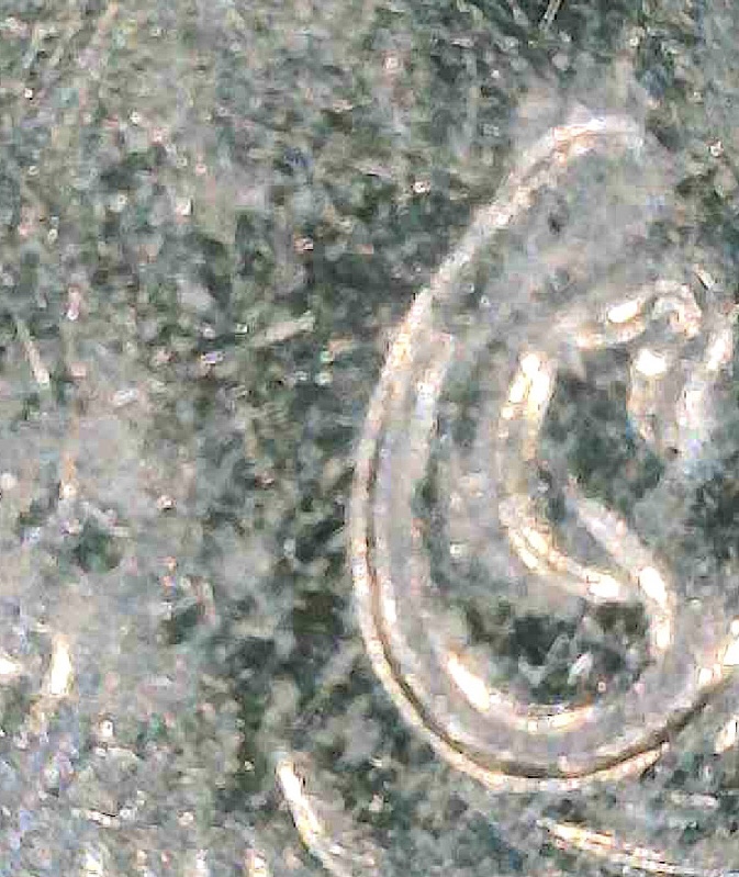 1999-D-Roosevelt-Dime-Doubling