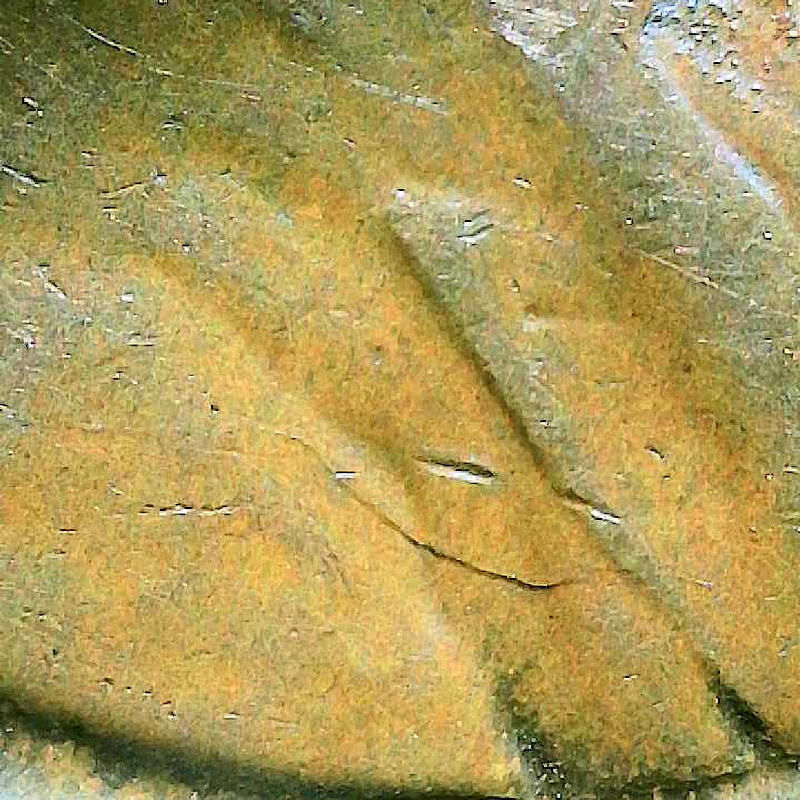 1955-Lincoln-Wheat-Penny,-Dick-Cracks?-Doubling-On-Date?-Lamination?