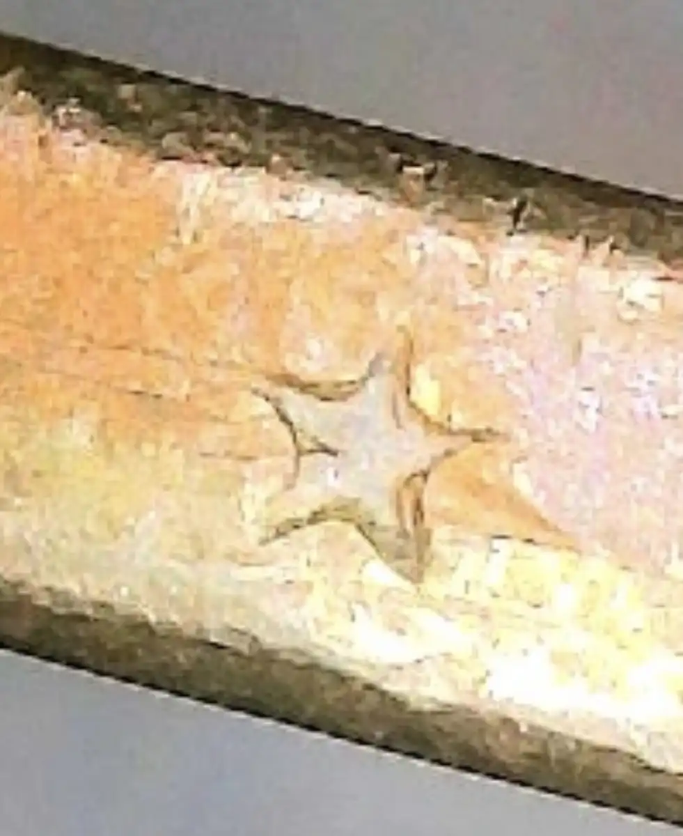2010-Sacagawea-Edge-Lettering-Doubling?