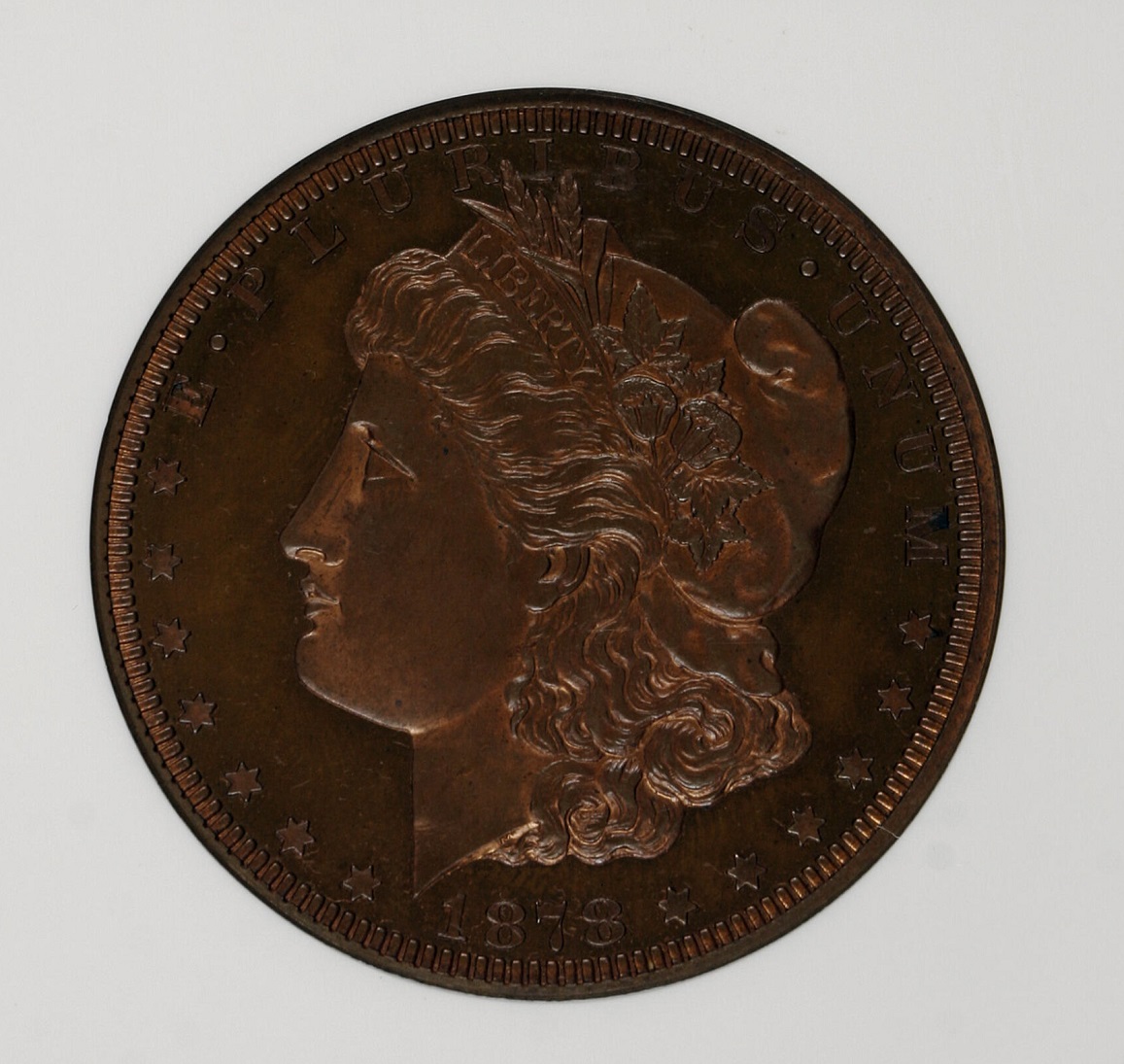 1878-Morgan-Dollar-You-Vs-NGC