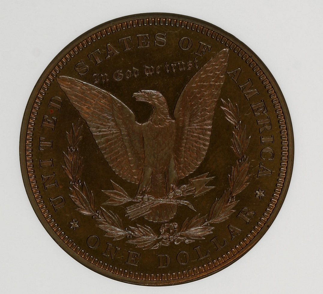 1878-Morgan-Dollar-You-Vs-NGC