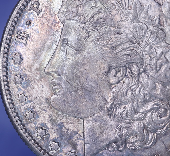 1881---S-Morgan-Dollar-Grade,-Toned
