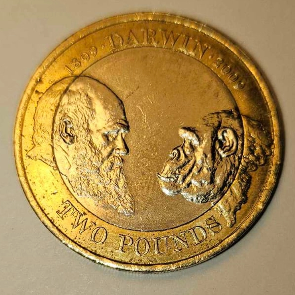 Darwin-�2-Coin.-Is-It-Worth-Anything?