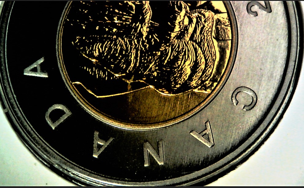 1996-Toonie-German-