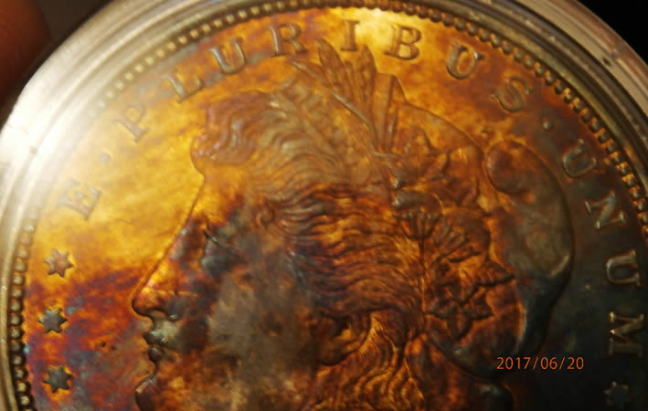 Any-Experts-On-Toned-Morgans?
