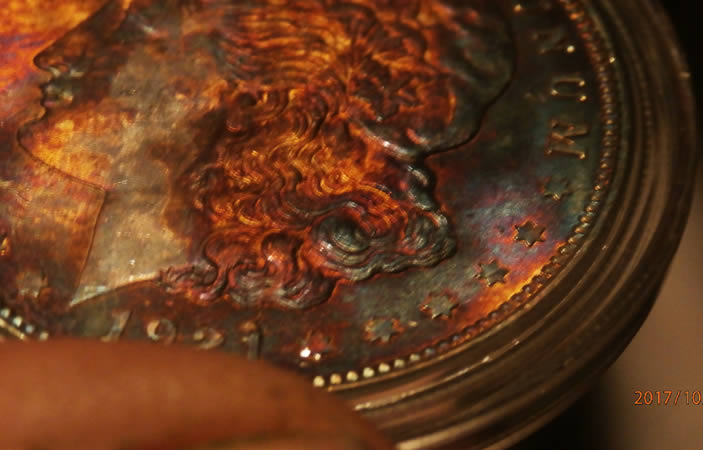 Any-Experts-On-Toned-Morgans?