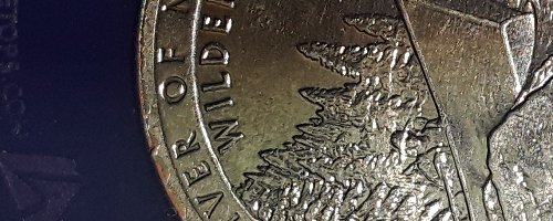 2019-D-Quarter-Dollar-Extra-Metal
