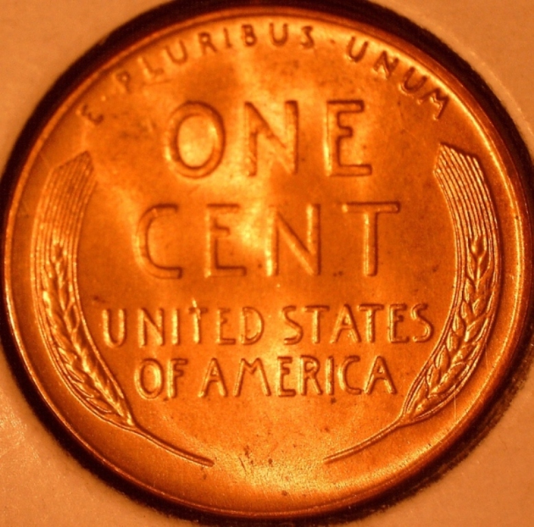 Post-Your-Red-Copper-Found-In-The-Wild