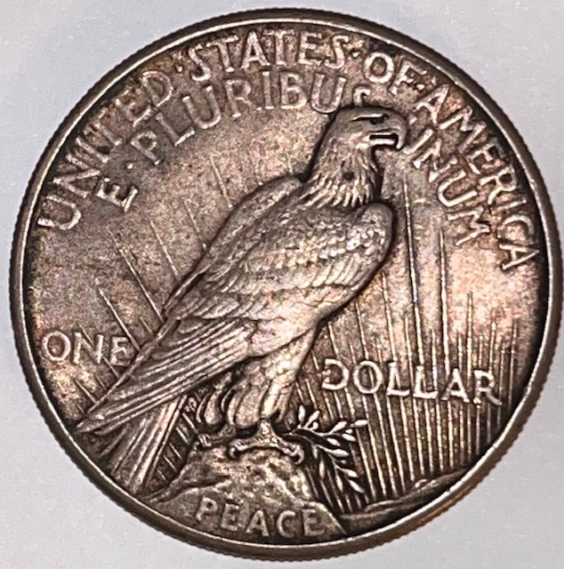 1921-Peace-Dollar-Sandblasted-Or-Matte-Finish?