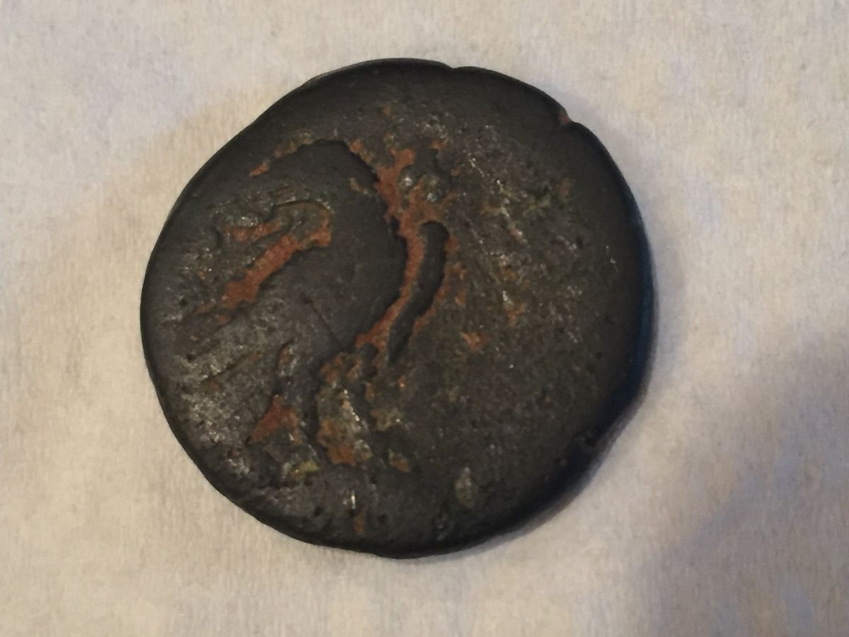 Antoninus-Pius-Provincial?