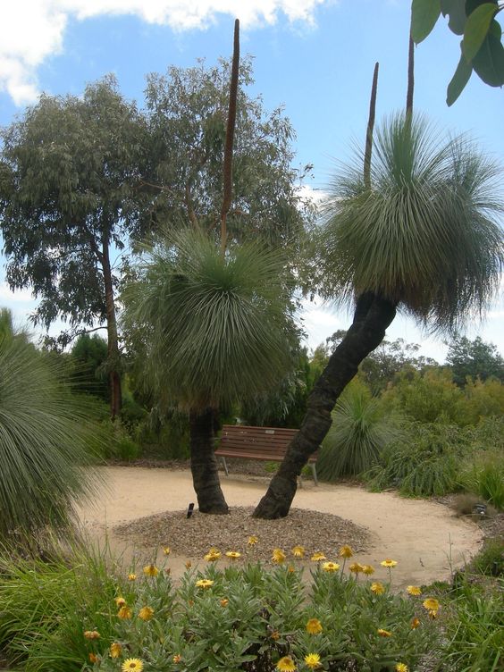 Post-Your-Coins-And-Medals-With-Trees