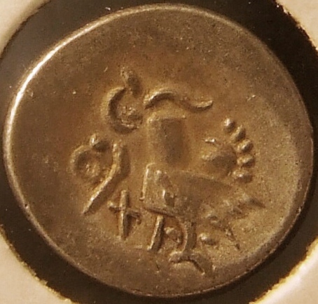 Post-Your-Tiny-Coins!