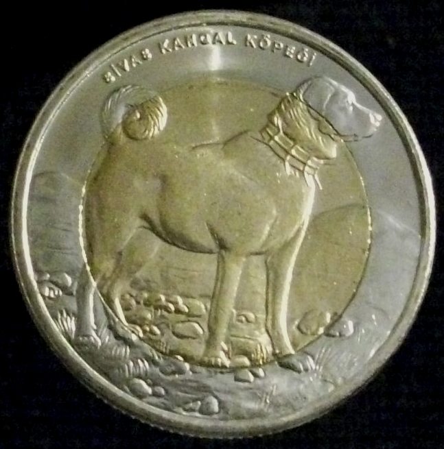 Post-Your-Coins/Medals/Tokens-With-A-Dog