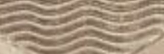 Name-That-Coin.--Daily-Coin-Snippet.