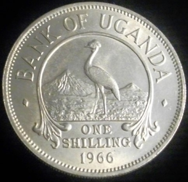 Bring-Out-Your-KM#5-Or-Y#5-Coins-For-Show-&-Tell