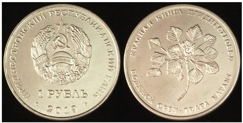 Post-Your-Coin-Or-Medal-With-Flora