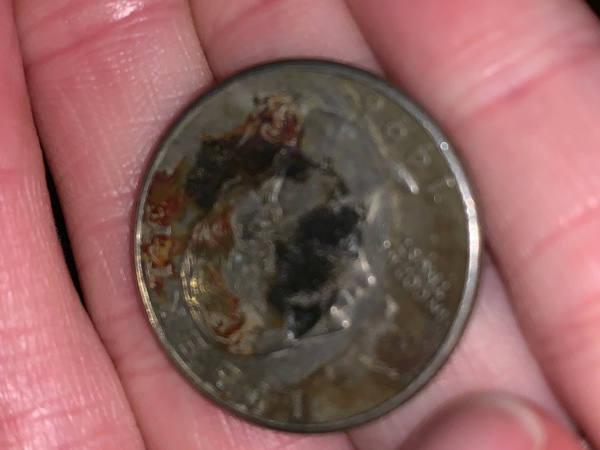 1996-P-Quarter-Brown-And-Black-Why?