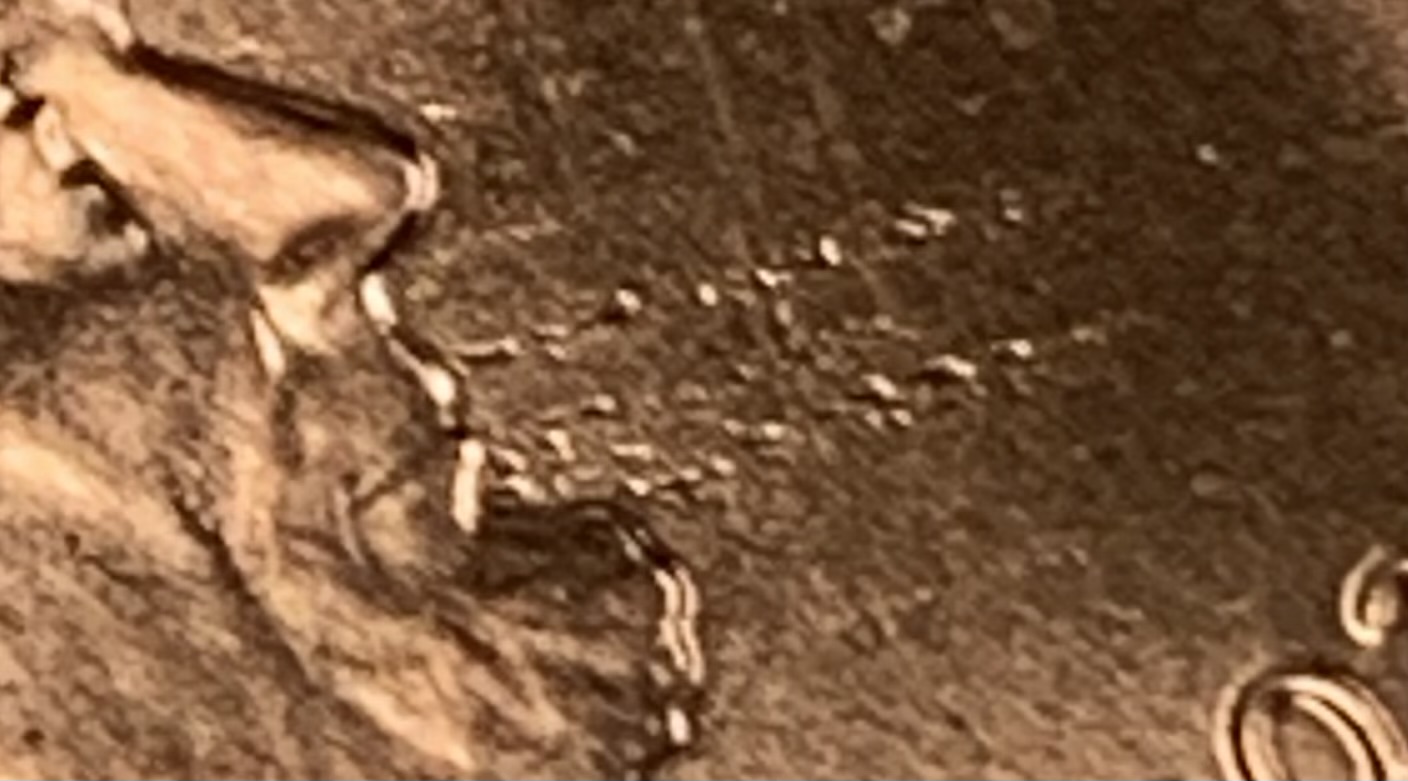 2022-Penny-Markings-?